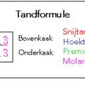 tandformule.jpg