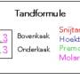 tandformule.jpg