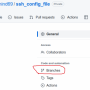 secure_branch2.png